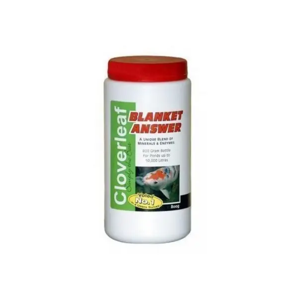 Cloverleaf - Blanket Answer