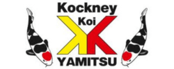 Kokney Koi Yamitsu